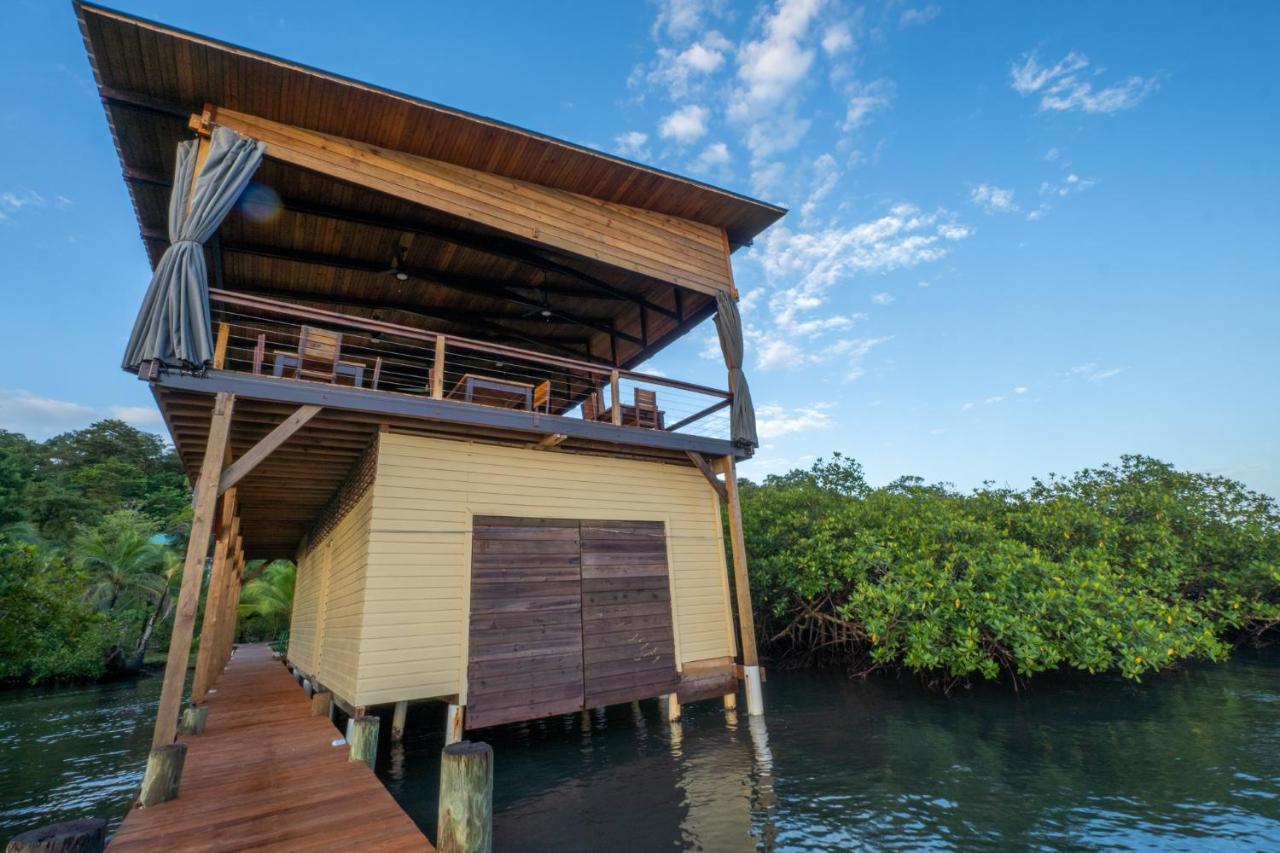 Roam Yoga & Wellness Lodge Bocas Town Exterior foto
