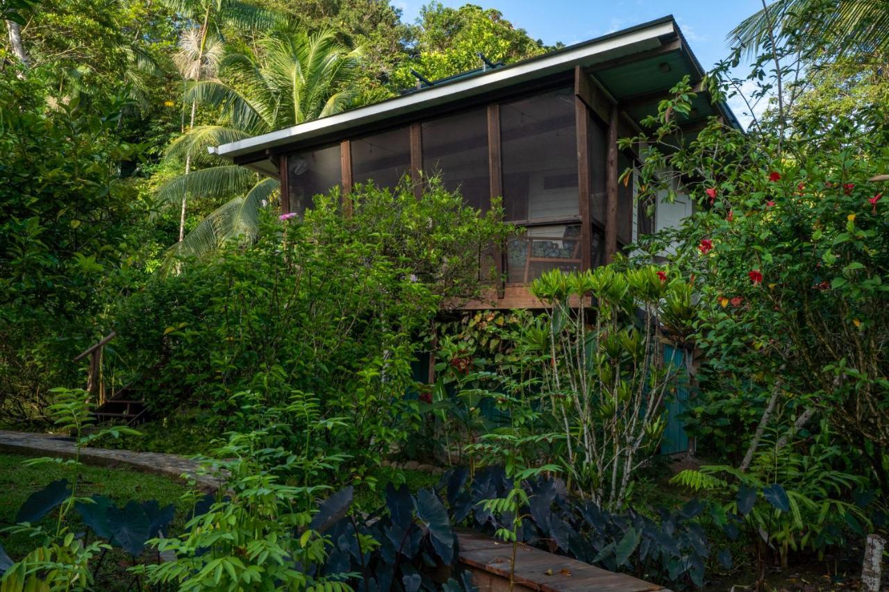 Roam Yoga & Wellness Lodge Bocas Town Exterior foto