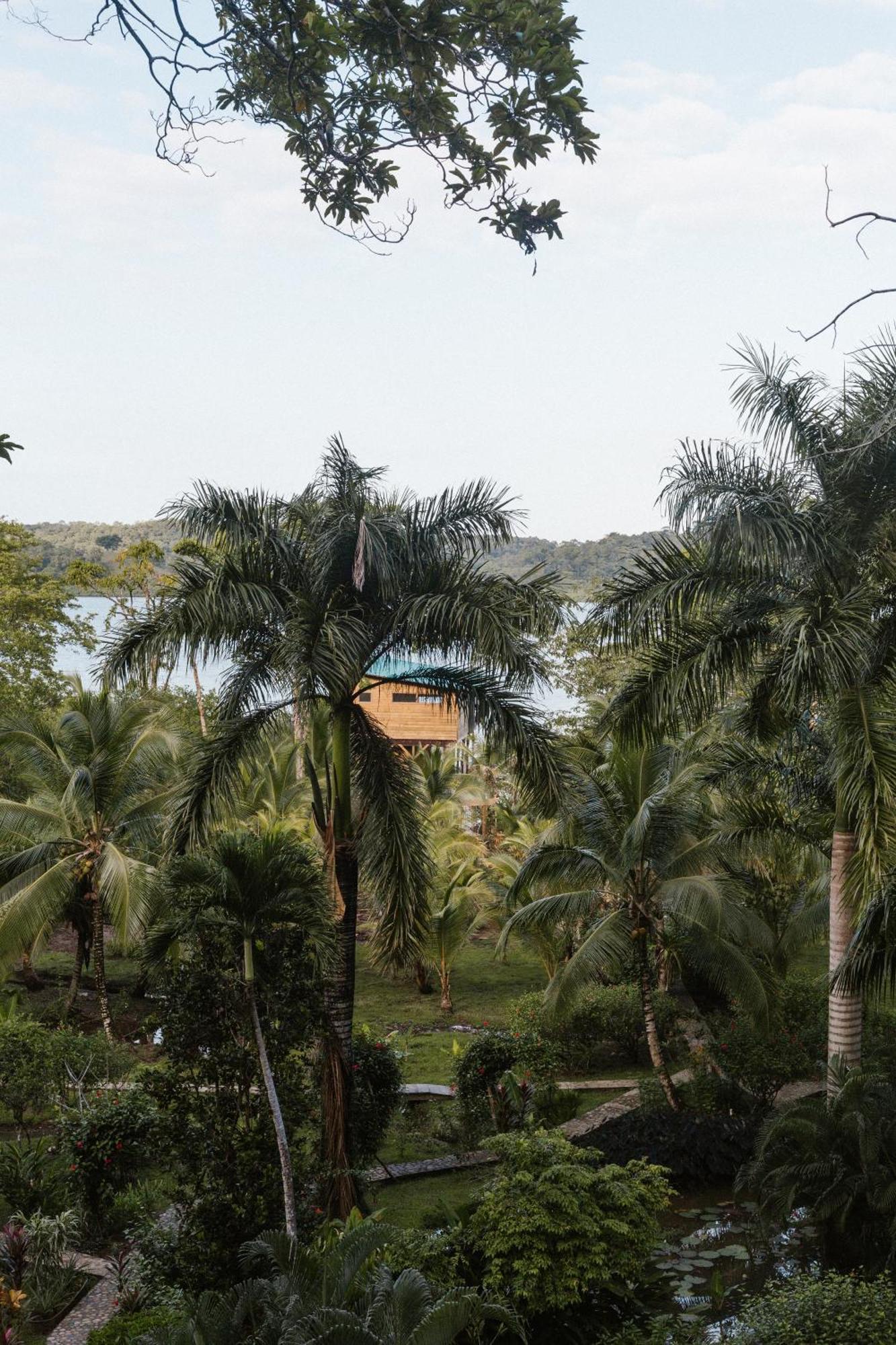 Roam Yoga & Wellness Lodge Bocas Town Exterior foto