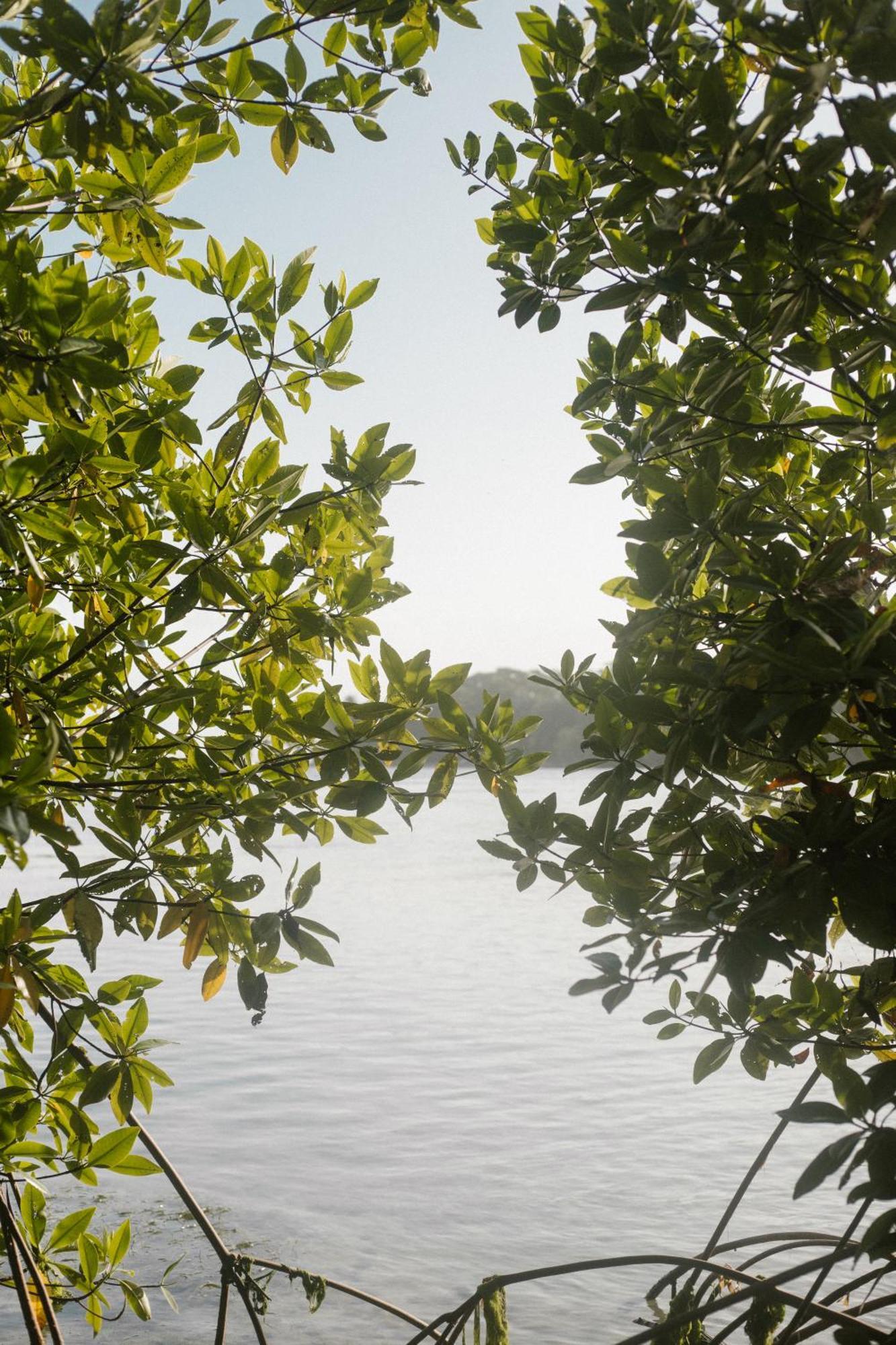 Roam Yoga & Wellness Lodge Bocas Town Exterior foto