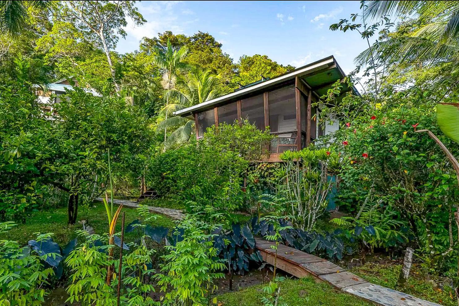 Roam Yoga & Wellness Lodge Bocas Town Exterior foto
