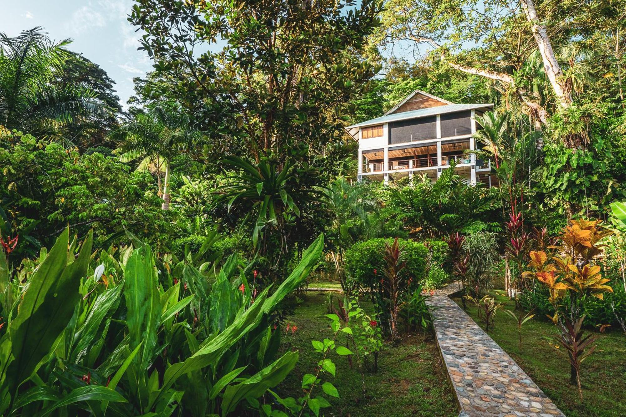 Roam Yoga & Wellness Lodge Bocas Town Exterior foto